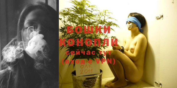 эйфоретик Майский