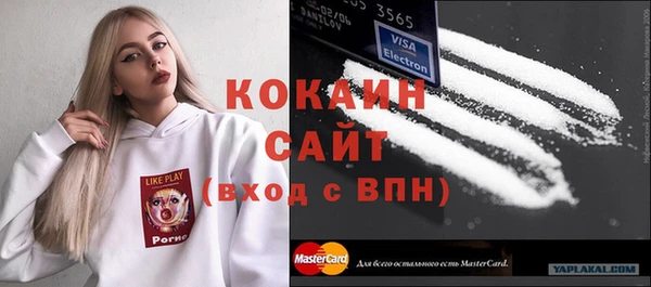 тгк Лиски