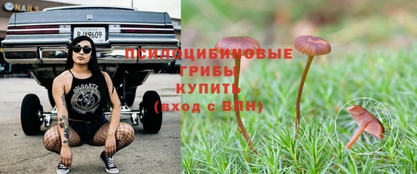 метадон Липки