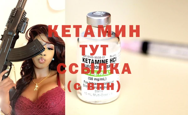 индика Снежногорск