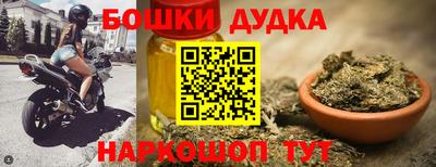 индика Заводоуковск