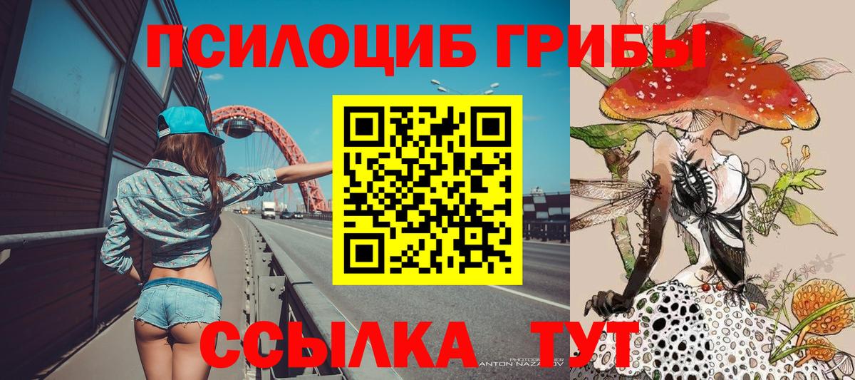 Псилоцибиновые грибы прущие грибы Мелеуз